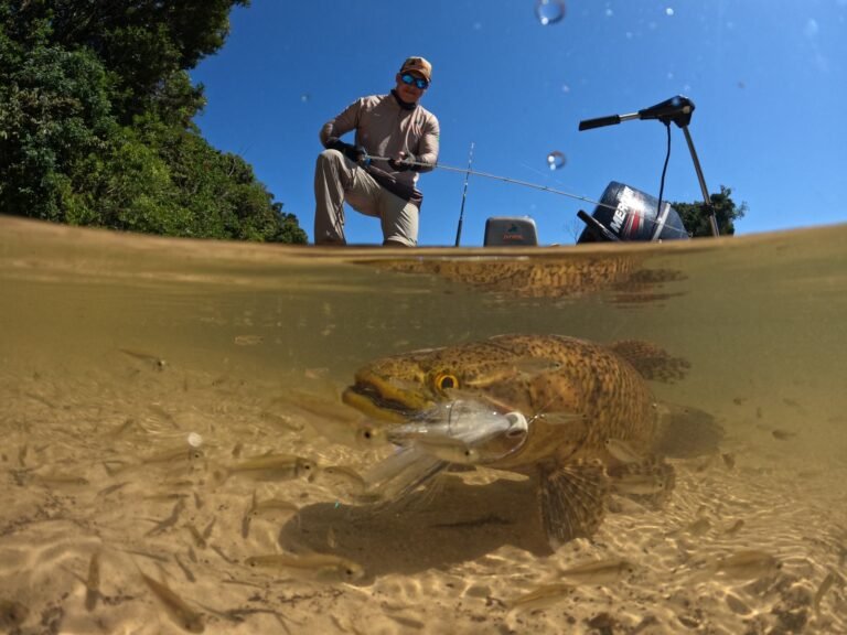 Fish photographed underwater in the clear river