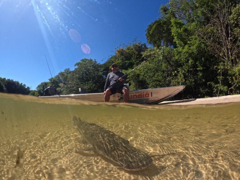 Fish photographed underwater in the clear river
