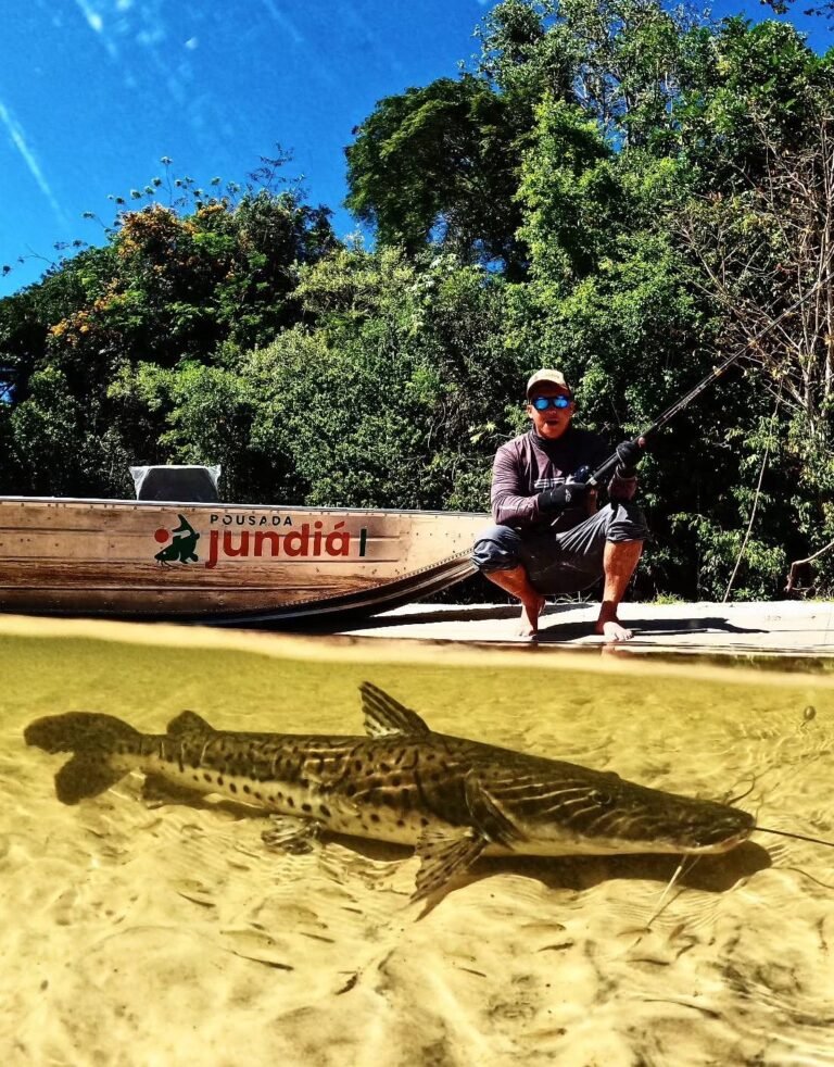 Fish photographed underwater in the clear river