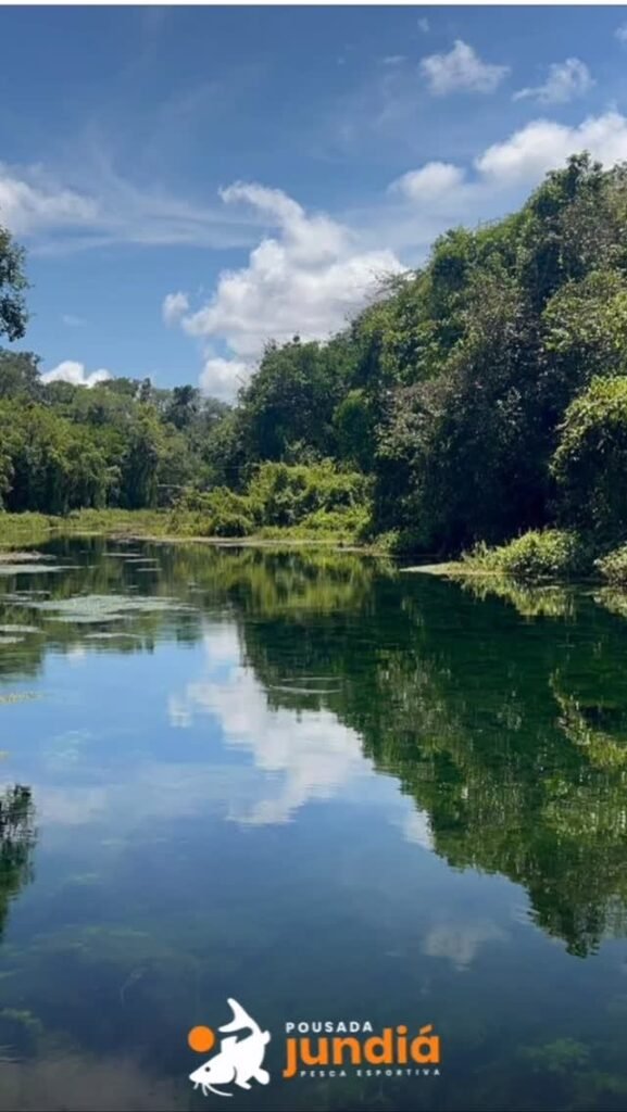 Nature around the São Benedito and Azul rivers