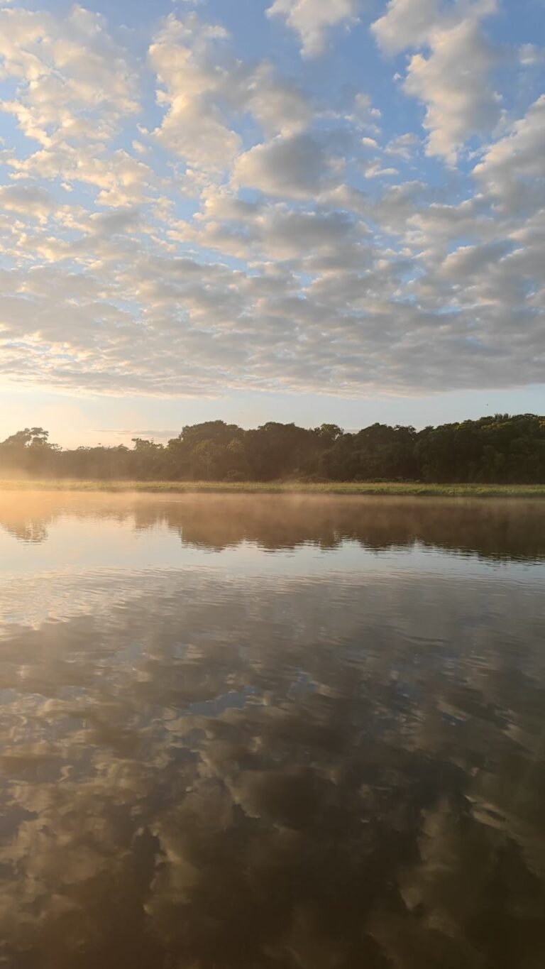 Nature around the São Benedito and Azul rivers