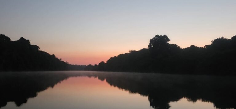 Nature around the São Benedito and Azul rivers